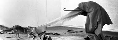 Joseph Beuys: 'I like America', performance with a coyote, New York
